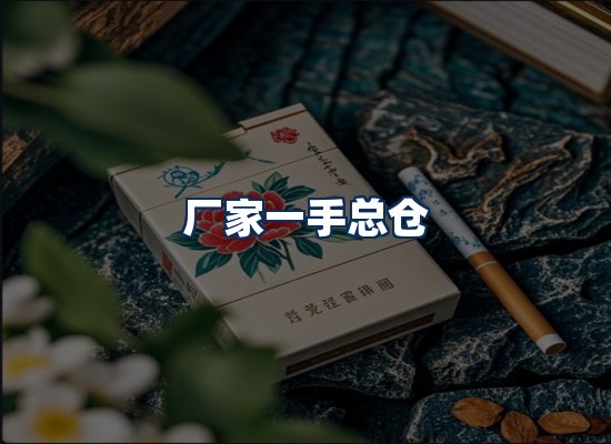 专业团队办公环境